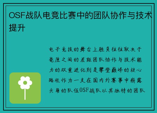 OSF战队电竞比赛中的团队协作与技术提升